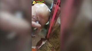 نيك موزة بلدي هايجة اوي في اوضة النوم تركب وتتنطت علي الزب جامد - سكس عربي